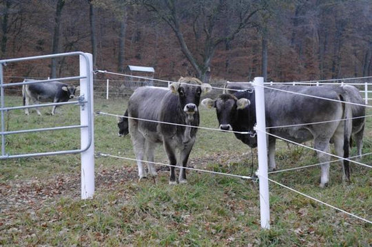 Pole X-tra Mast E65 90mm x 2m inkl. Abdeckung