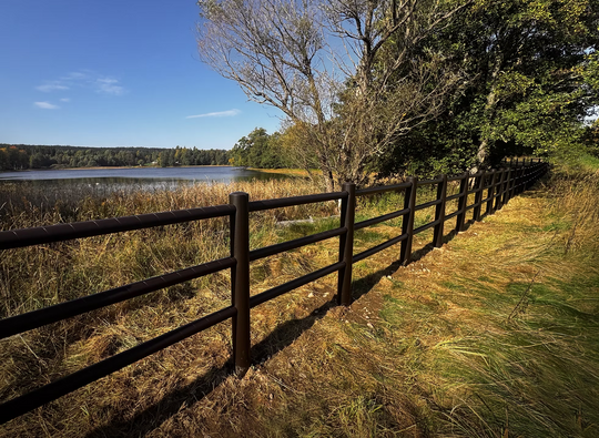 Horse fence EquiFence 3 rails price/meter