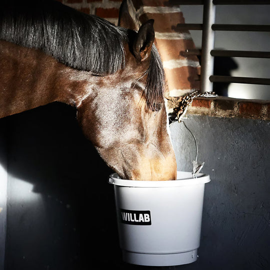 Värmehink 20L Frostfritt vatten